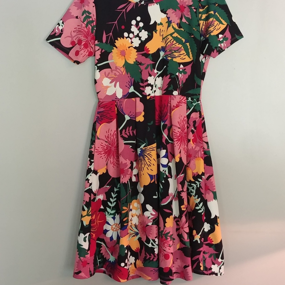 Spring summer LulaRoe dress